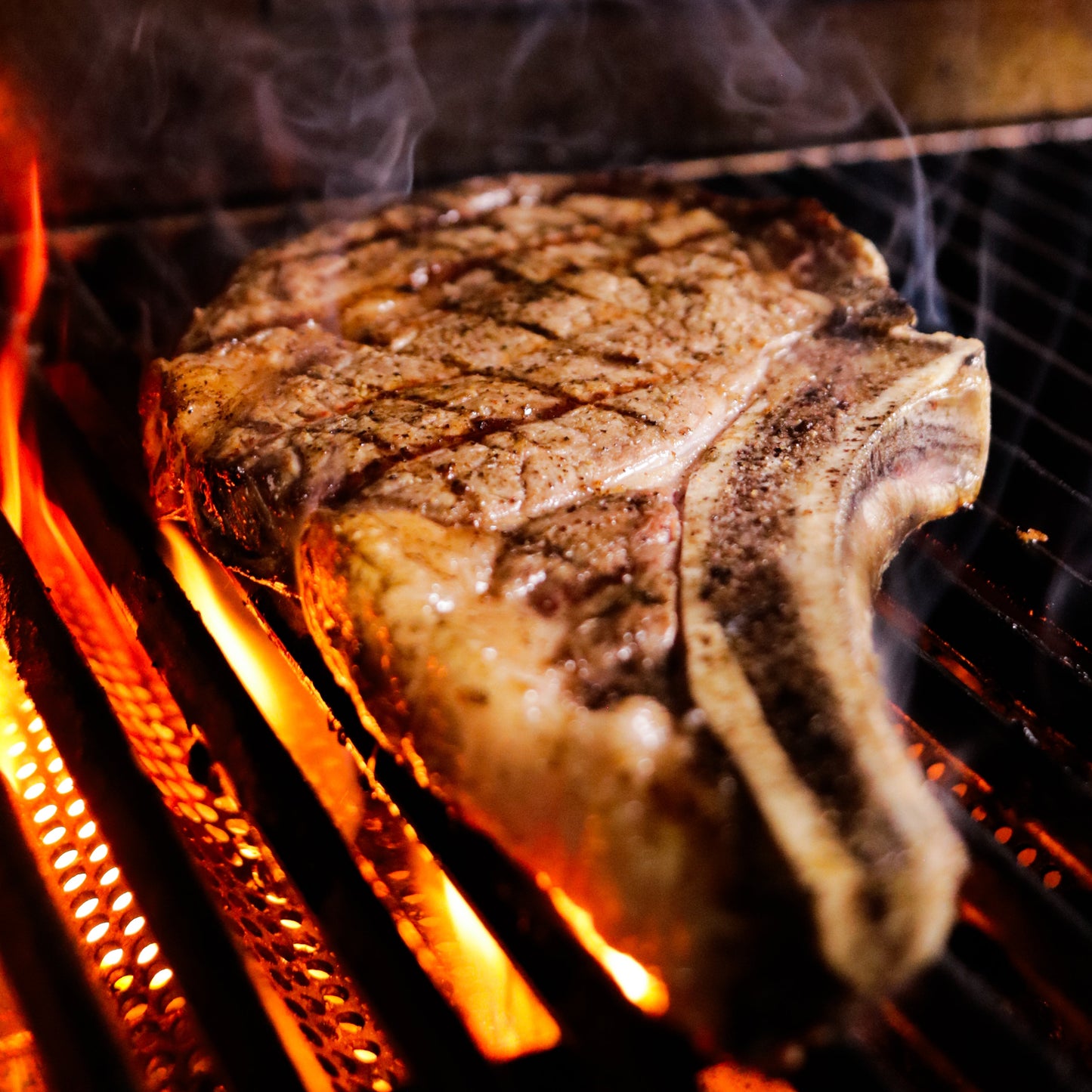 Dry-Aged Bone-In Ribeye